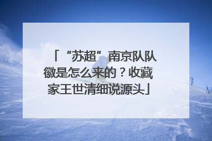 “苏超”南京队队徽是怎么来的？收藏家王世清细说源头
