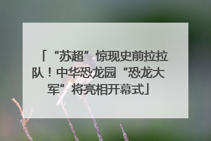 “苏超”惊现史前拉拉队！中华恐龙园“恐龙大军”将亮相开幕式