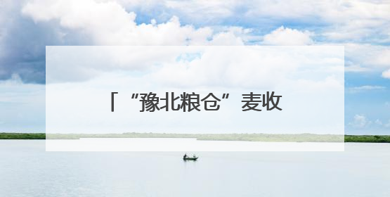 “豫北粮仓”麦收跑出“加速度”