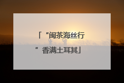 “闽茶海丝行”香满土耳其