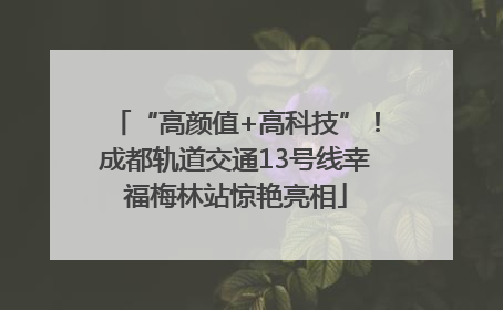 “高颜值+高科技”！成都轨道交通13号线幸福梅林站惊艳亮相