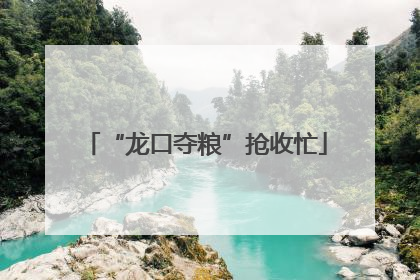 “龙口夺粮”抢收忙