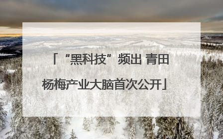 “黑科技”频出 青田杨梅产业大脑首次公开