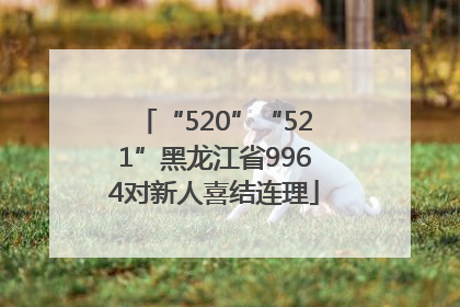 “520”“521”黑龙江省9964对新人喜结连理