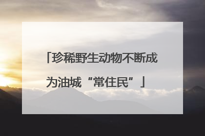 珍稀野生动物不断成为油城“常住民”