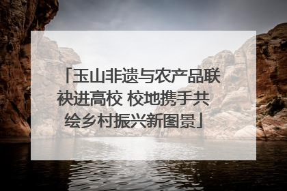 玉山非遗与农产品联袂进高校 校地携手共绘乡村振兴新图景