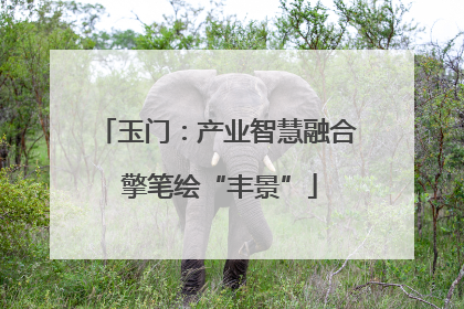 玉门：产业智慧融合 擎笔绘“丰景”