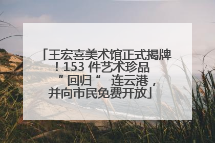 王宏喜美术馆正式揭牌！153 件艺术珍品 “ 回归 ” 连云港，并向市民免费开放