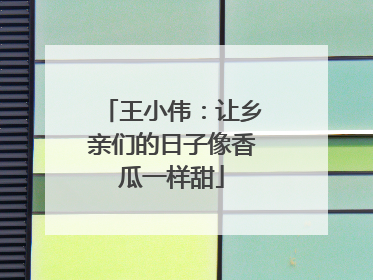 王小伟：让乡亲们的日子像香瓜一样甜