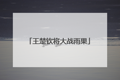 王楚钦将大战雨果