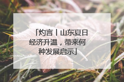 灼言丨山东夏日经济升温，带来何种发展启示