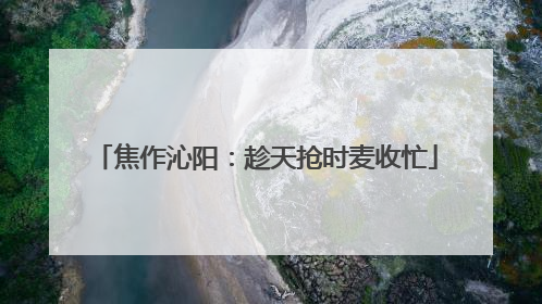 焦作沁阳：趁天抢时麦收忙