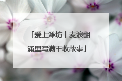 爱上潍坊丨麦浪翻涌里写满丰收故事