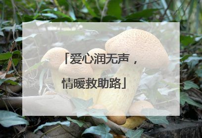 爱心润无声，情暖救助路