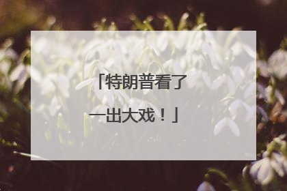 特朗普看了一出大戏！