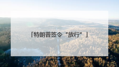 特朗普签令“放行”
