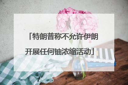 特朗普称不允许伊朗开展任何铀浓缩活动
