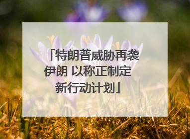 特朗普威胁再袭伊朗 以称正制定新行动计划