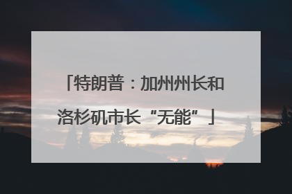 特朗普：加州州长和洛杉矶市长“无能”