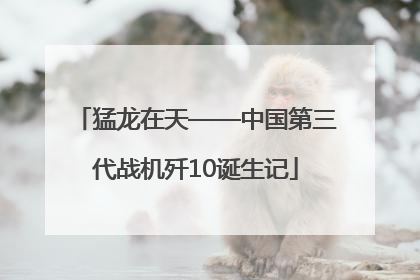猛龙在天——中国第三代战机歼10诞生记
