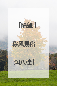 瞭望丨移风易俗润八桂