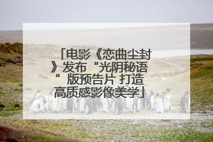 电影《恋曲尘封》发布“光阴秘语”版预告片 打造高质感影像美学