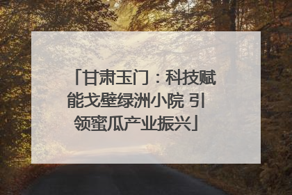 甘肃玉门：科技赋能戈壁绿洲小院 引领蜜瓜产业振兴
