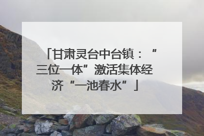 甘肃灵台中台镇：“三位一体”激活集体经济“一池春水”