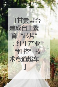 甘肃灵台建成自主繁育“芯片”：红牛产业“性控”技术弯道超车