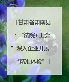 甘肃省肃南县：“法院+工会”深入企业开展“精准体检”