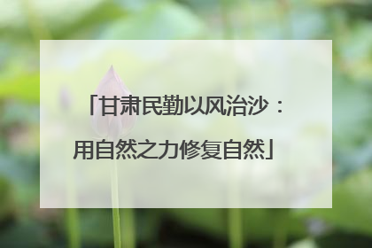 甘肃民勤以风治沙：用自然之力修复自然