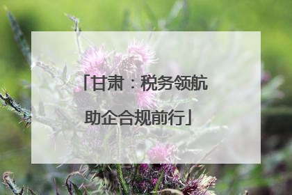 甘肃：税务领航 助企合规前行