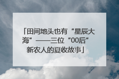 田间地头也有“星辰大海”——三位“00后”新农人的夏收故事