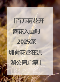 百万荷花开 簪花入画时 2025深圳荷花赏在洪湖公园启幕