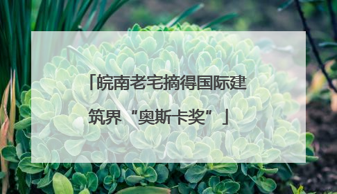 皖南老宅摘得国际建筑界“奥斯卡奖”