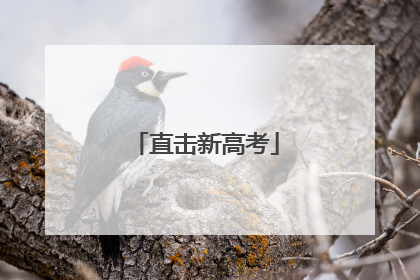 直击新高考