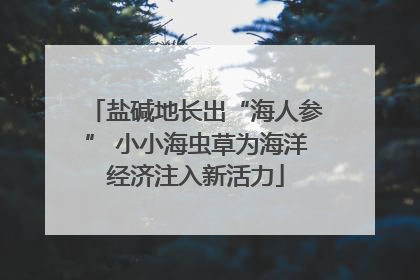 盐碱地长出“海人参” 小小海虫草为海洋经济注入新活力