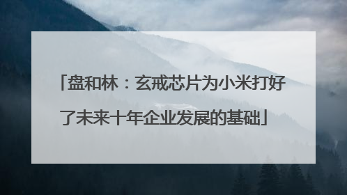 盘和林：玄戒芯片为小米打好了未来十年企业发展的基础