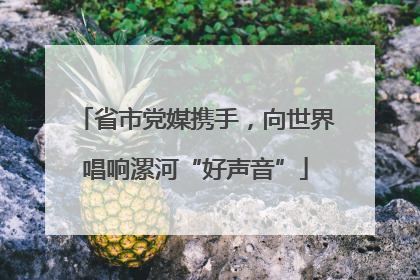 省市党媒携手，向世界唱响漯河“好声音”