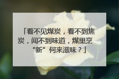 看不见煤炭，看不到焦炭，闻不到味道，煤里烹“新”何来滋味？