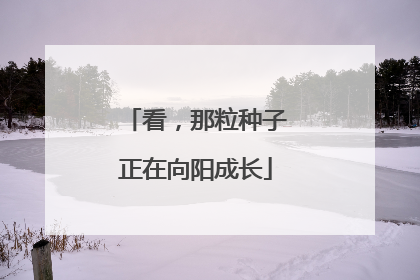 看，那粒种子正在向阳成长