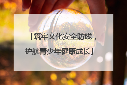 筑牢文化安全防线，护航青少年健康成长