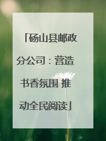 砀山县邮政分公司：营造书香氛围 推动全民阅读