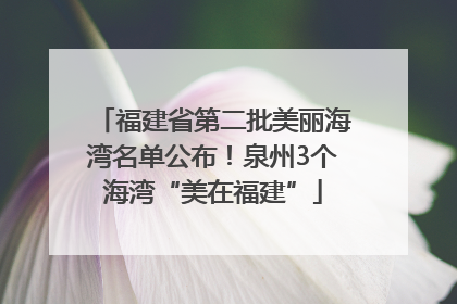 福建省第二批美丽海湾名单公布！泉州3个海湾“美在福建”