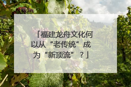 福建龙舟文化何以从“老传统”成为“新顶流”？