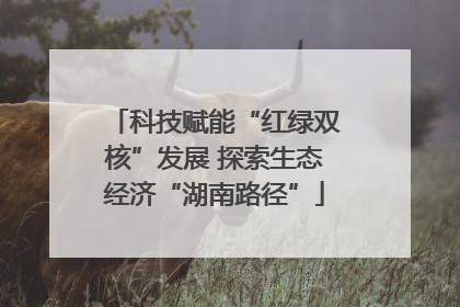 科技赋能“红绿双核”发展 探索生态经济“湖南路径”