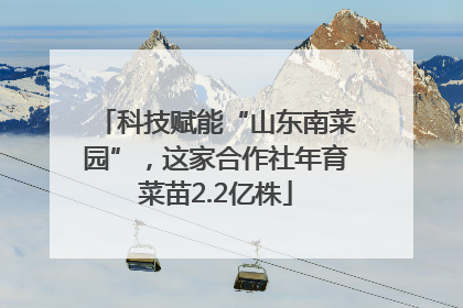科技赋能“山东南菜园”，这家合作社年育菜苗2.2亿株