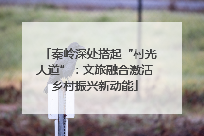 秦岭深处搭起“村光大道”：文旅融合激活乡村振兴新动能