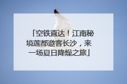 空铁直达！江南秘境莲都邀客长沙，来一场夏日降燥之旅