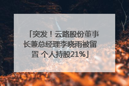 突发！云路股份董事长兼总经理李晓雨被留置 个人持股21%